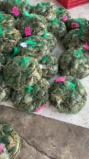 洪湖清水大闸蟹18母，满黄，产地直销，一手货源，全国可发