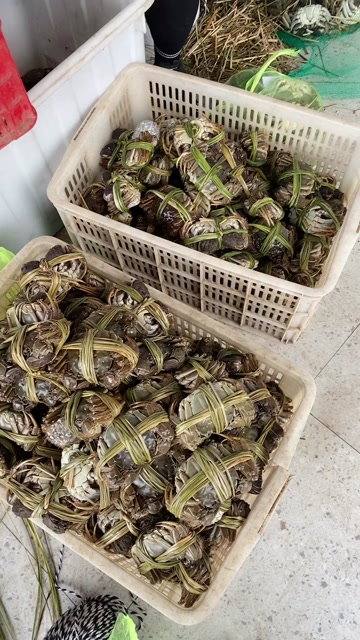 湖北洪湖大闸蟹25公，产地直销，一手货源，可拼规格，全国可发