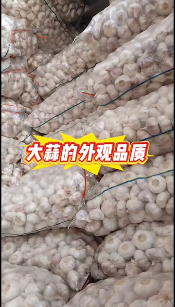 广东广州｜江苏邳州冷库蒜大蒜 农家自种 新鲜紫皮干蒜30kg