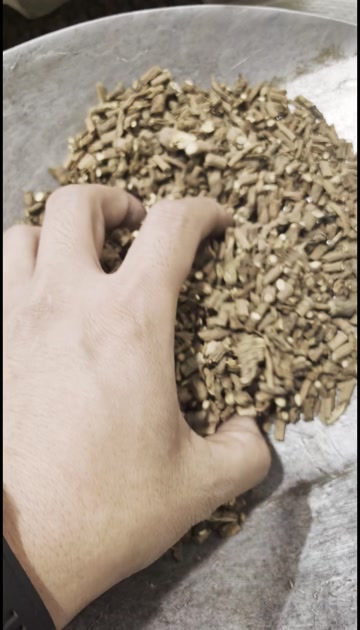 藏柴胡 0.4筛以上 均匀 假一赔十 量大从优 产地甘肃