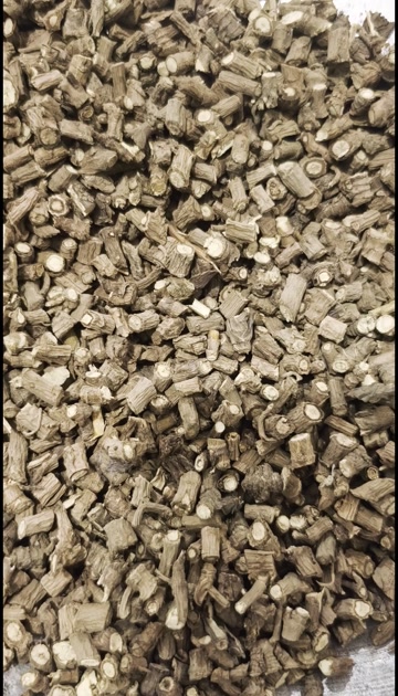 藏柴胡 选货 0.6筛以上 质量好价格略高 产地甘肃