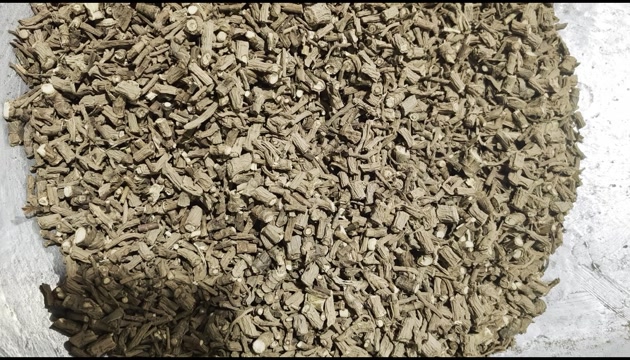 藏柴胡 统货0.2筛以上 粗细都有 价格优惠 产地甘肃