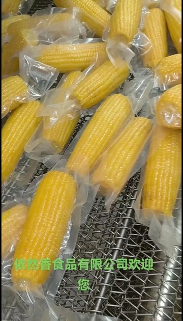 依安县依然香食品有限公司欢迎您真空独立包装鲜食玉米