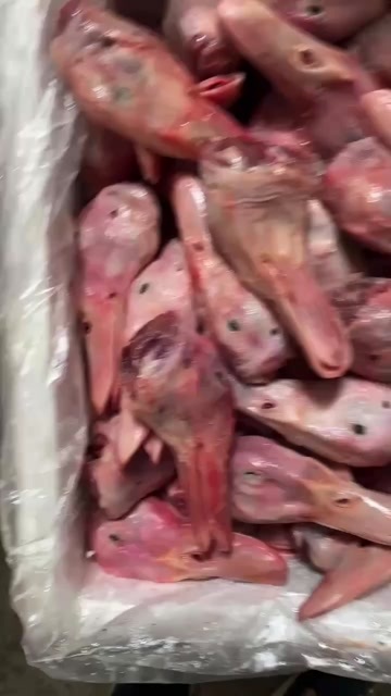 南宁带舌头鸭头