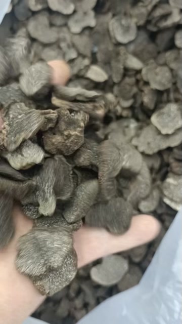 黑松露 黑松露干 黑松露干片 松露