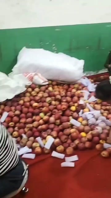 昭通正宗云南昭通糖心丑苹果