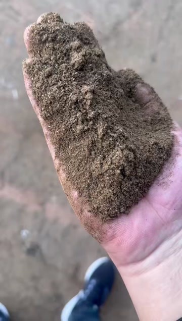 海兴县餐厨粉蛋脂综合30左右 水分13以内