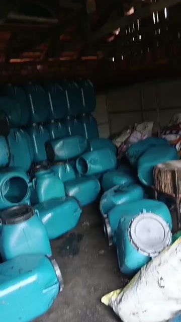 鸡西黑龙江鸡西优质蕨菜 特色山野菜新鲜采摘