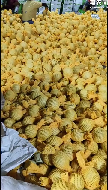 冰淇淋玉菇甜瓜一件代发 对接电商 社团私域 档口商超 直播