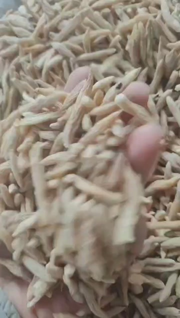 产地精选麦冬中药材 品质保障 干货，鲜货，一手货源