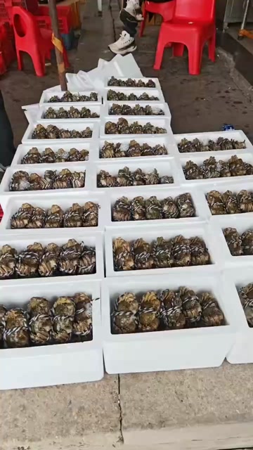 洪湖产地直发大闸蟹，螃蟹，大量上市，礼盒顺丰包邮