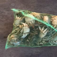 兴化市兴化大闸蟹 一手货源，品质保证。旭日水产，十年信誉