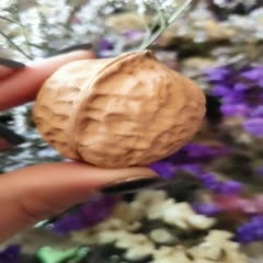 祥云县 米甸薄皮核桃（大果）