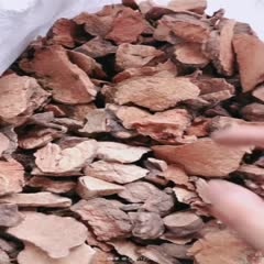 云县云南纯何首乌产地大货直供