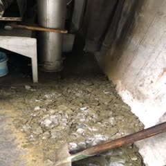 菜籽油渣  菜籽油饼