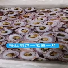 沈阳海湾扇贝  粉丝扇贝，一毛一片，一毛，0.1元