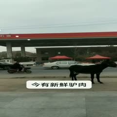 蠡县德州驴 活驴鲜肉批发零售，诚信合作共赢，