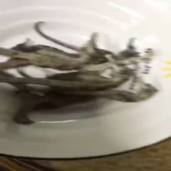 饶平县广东汤料  广东汤包家庭必备，四物汤虎乳润肺汤灵芝祛湿汤石斛洋参养生