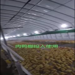 天津 养殖大棚