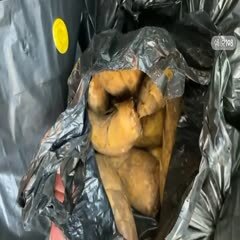 嵊州市浙江绍兴谷来冬笋！