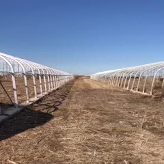 天津养殖大棚 山东东营工地。