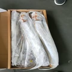 福州 阿曼贝壳牌带鱼1000克以上