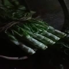 什邡市青叶莴笋  竹筒青，黑牛皮，红尖叶。欢迎致电咨询
