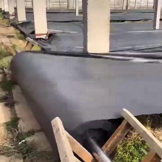 德州pe防草地布 大棚地布黑色抗老化防草布 跨境全新料园艺地布