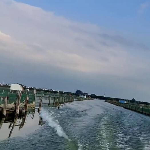 苏州大闸蟹鲜活螃蟹批发礼盒海鲜水产送礼采购厂家供应链阳澄湖镇发