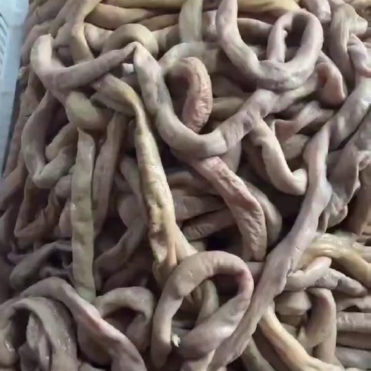 汕头牛小肠 牛圆肠 中油肉厚金黄色，熟度高，出成率高