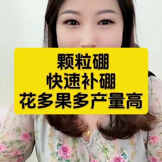 潍坊颗粒硼微量元素水溶肥料底肥提高坐果果树蔬菜通用硼肥