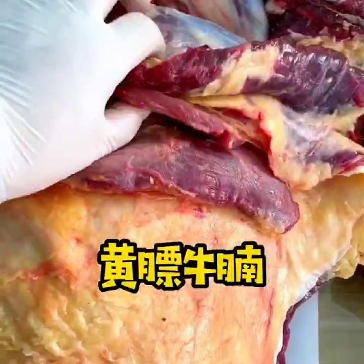 汕头牛腩，新鲜牛腩，坑腩，肚腩，牛排腩