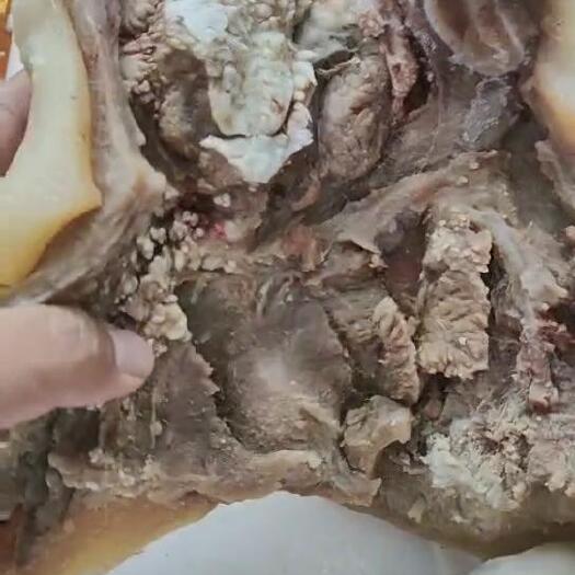 汕头牛头肉，带肉牛头皮