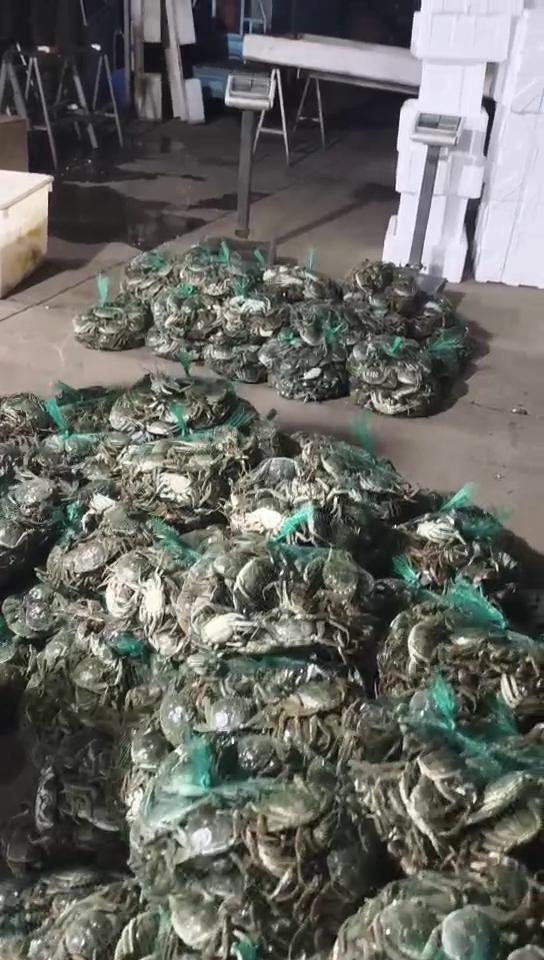 【产地直发】 洪湖清水大闸蟹 规格齐全支持混批，量大价优