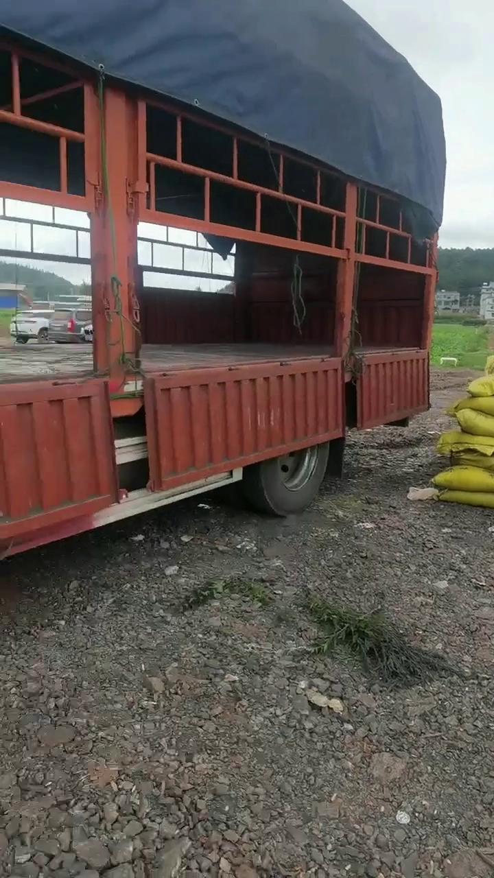 内膜袋草木灰广西草木灰有机钾肥