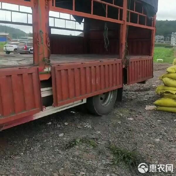 内膜袋草木灰广西草木灰有机钾肥