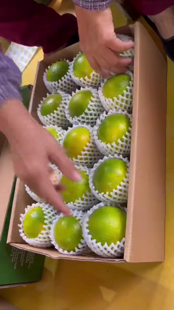 海南琼中绿橙一件代发产地直发一手货源对接各大电商平台