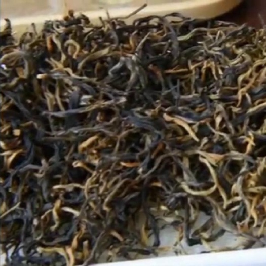 昆明云南红茶凤庆滇红茶毛峰黄芽多香甜滇红茶大雪山古树红茶晒红