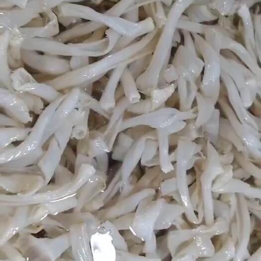 重庆市水发鹅郡把工厂一手货源只卖净重