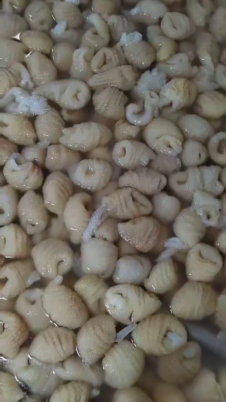 水发鸡蛋包鸡毛肚，火锅串串麻辣烫性价比高的一种食材