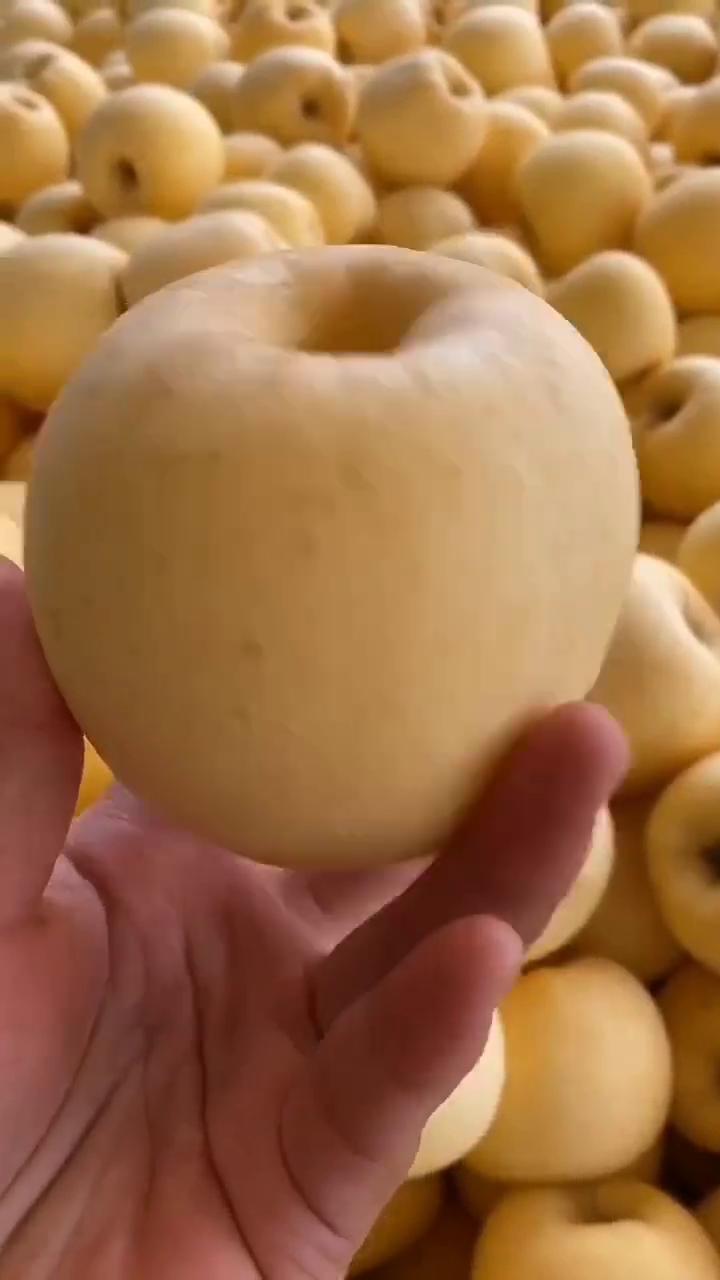 山东脆甜奶油糖心丑黄元帅维纳斯黄金苹果