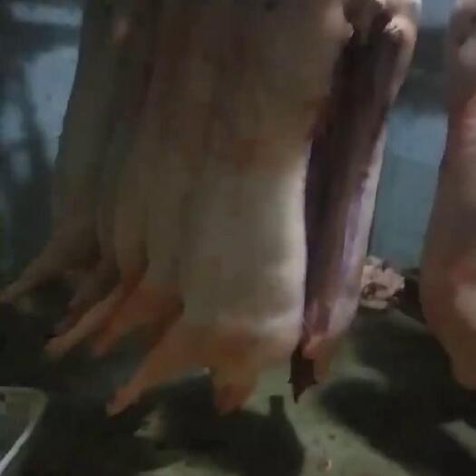 景东县云南生态猪白条厂家大量供应，品质保障
