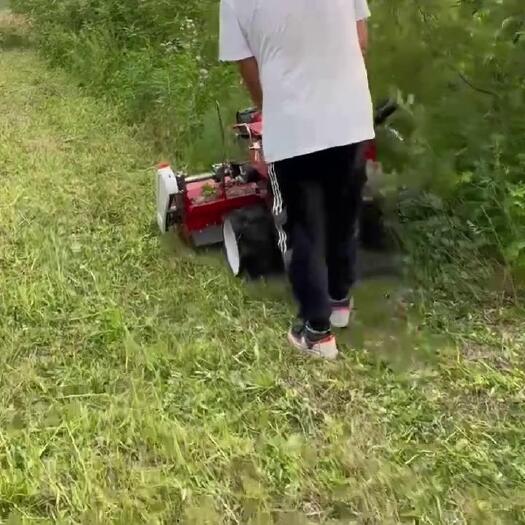潍坊割草机碎草还田机农用除草机小型家用柴油汽油割草机手推式除草机