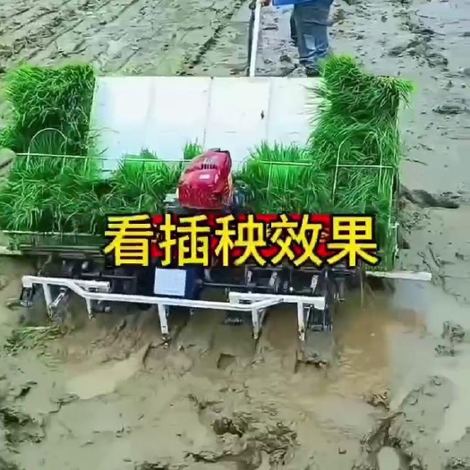 曲阜市农用汽油四冲程水稻插秧机家用育秧盘水稻种植机手拉式插秧机