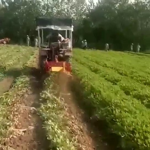 曲阜市小型农用平地花生收获机家用荚链式花生出土机 铺放整齐花生收获