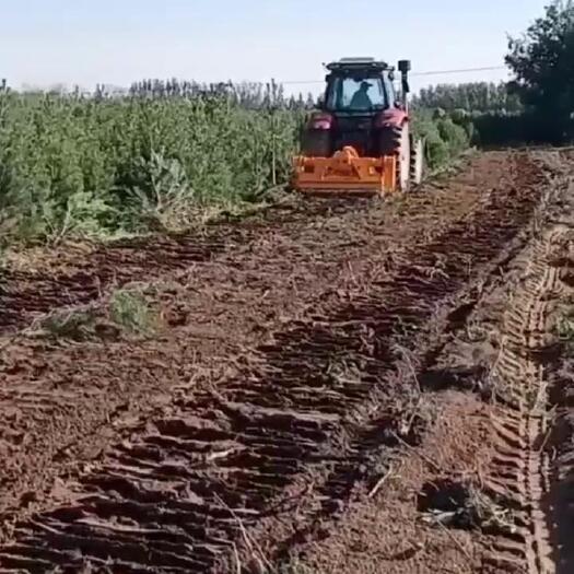 曲阜市农用园林树根粉碎还田机后置不同宽幅树墩打碎机 树木疙瘩破碎机