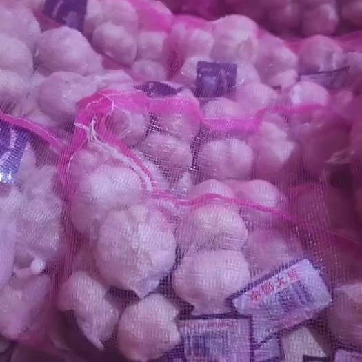 临朐县大蒜大量有货现发支持一件代发