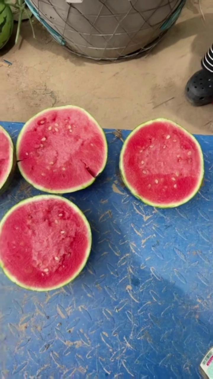 【推荐】全国西瓜,美都西瓜,质量保证,产地推荐一手货源