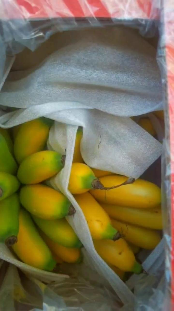 海南皇帝蕉一件代发产地直发一手货源对接各大电商平台