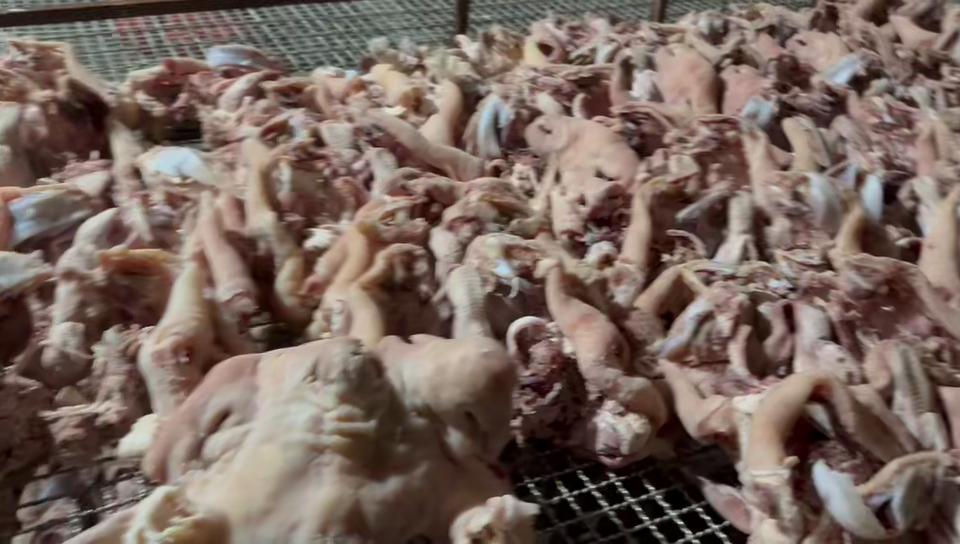 半成品羊头肉 无碱无科技 正规厂家实力供应